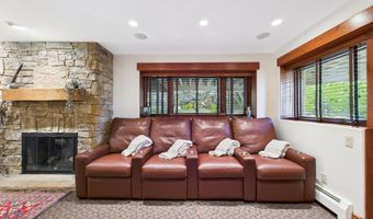 593 Meadowood Dr, Aspen, CO 81611