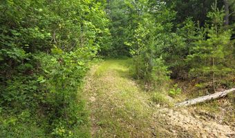 1408 Coleman Mountain Rd, Appomattox, VA 24522