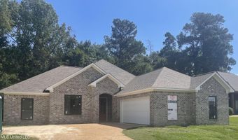 572 Turtle Ln, Brandon, MS 39047
