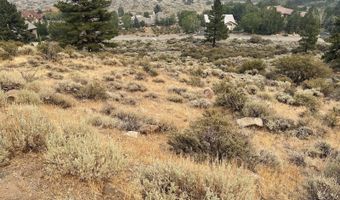 15192 Timber Crest Trl, Washoe Valley, NV 89511