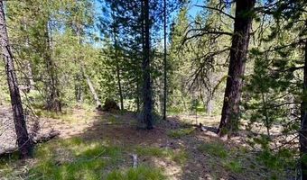 Sky Horse Drive lot 48, Cascade, ID 83611