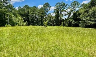 26489 Point A Isle Rd, Andalusia, AL 36421