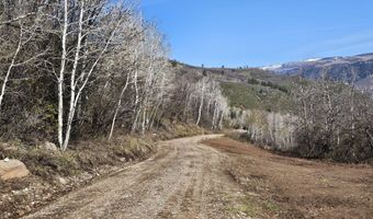 3600 Bear Paw Ln, Glenwood Springs, CO 81601
