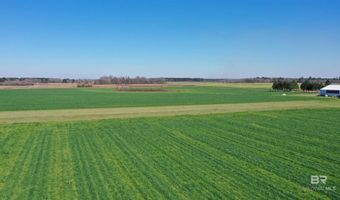 Lot 14 Davis Pond Road, Atmore, AL 36502