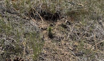 Off Hicks Road Lot 3, Bly, OR 97622