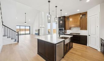 355 Fire Blade Dr, Aledo, TX 76008