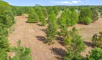 Hwy 69, Alba, TX 75410