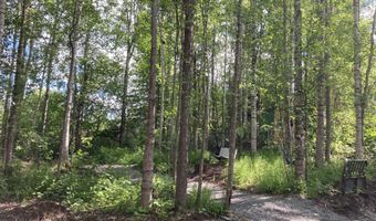 22909 Green Garden Dr, Chugiak, AK 99567