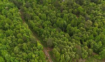 6020 Eaglewood Ln, Birchwood, TN 37308