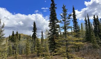 B005 Packsaddle Road, Chickaloon, AK 99674