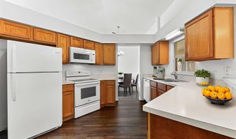 294 LAKE DOE Blvd, Apopka, FL 32703
