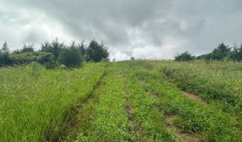 13285 W Levell Rd, Bennington, IN 47011