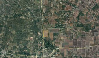 Fm-2044, Alice, TX 78332