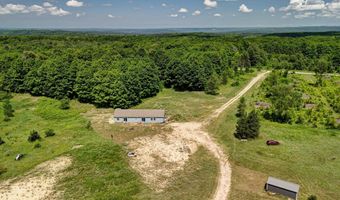 303 Westwood Rd NW, Alden, MI 49612