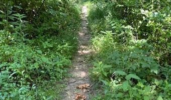 99999 Old NC 20 Hwy Tract C, Alexander, NC 28701