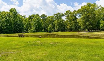 252 Private Road 6955, Alba, TX 75410