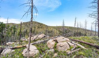 2384 Rist Creek Rd, Bellvue, CO 80512