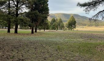 18 County Rd 2063, Alpine, AZ 85920