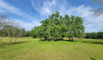 9150 SW 151ST Ln, Archer, FL 32618