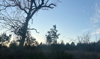 412110 E 1900 Rd, Antlers, OK 74523
