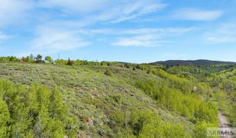1550 W Rim Loop Rd, Ashton, ID 83420