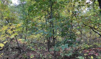 COUNTY ROAD N Lot 12,13, Almond, WI 54909
