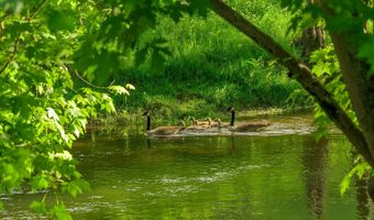 297 Wiltsie Bridge Rd, Ancramdale, NY 12503