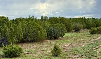 85 CR 8128 Lots 100 101 & 108, Concho, AZ 85924