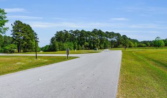 Burton Farm Road, Arapahoe, NC 28510