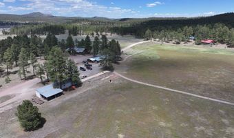 58 County Road N2122, Alpine, AZ 85920