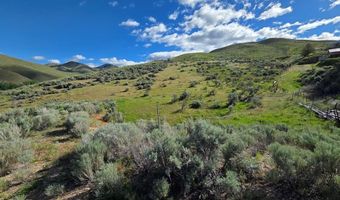 NKN E Tower Creek Road, Carmen, ID 83462