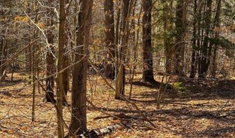 TM 407 L 35 Shem Valley Road, Alexandria, NH 03222