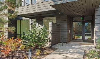 101 Willits Way 202, Basalt, CO 81621