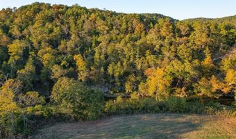 4495 County Road 405, Alton, MO 65606