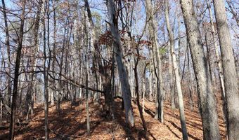 Virginia Ave lot 75, Bassett, VA 24055