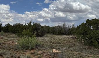 8 County Road 8080, Concho, AZ 85924