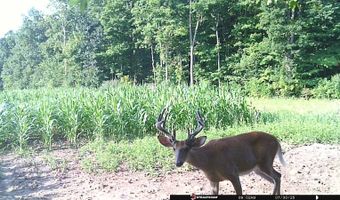 6305 W US Highway 223, Adrian, MI 49221