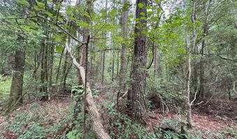 25232 Louisiana Highway 442 Lot Cdt1, Albany, LA 70711