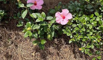 2687 Linda Ln, Alford, FL 32420