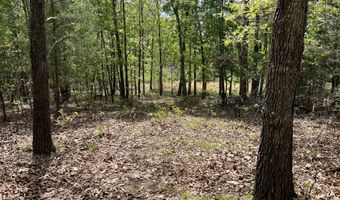 County Road P-309, Alton, MO 65606