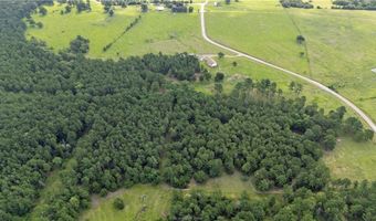 6779 County Road 215, Anderson, TX 77830