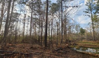 U.S. Highway 51, Bogue Chitto, MS 39629