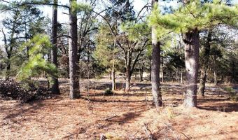 2 5 Ac County Rd 4216, Campbell, TX 75422
