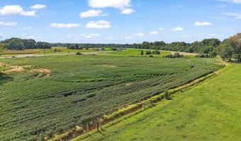 2966 N U.S. 412, Alamo, TN 38001