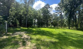 2087 White Rd, Abbeville, AL 36310