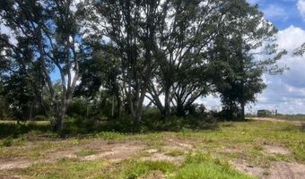 3109 US Hwy 129, Bell, FL 32619