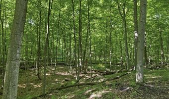 767 County Road 500, Ashland, OH 44805