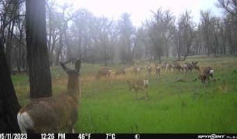 TBD County Road 170, Agate, CO 80101