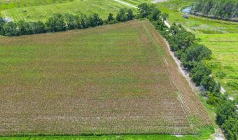 596 Teakwood Rd, Alma, GA 31510