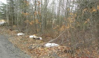 TBD Ole Farnham Road, Alfred, ME 04002